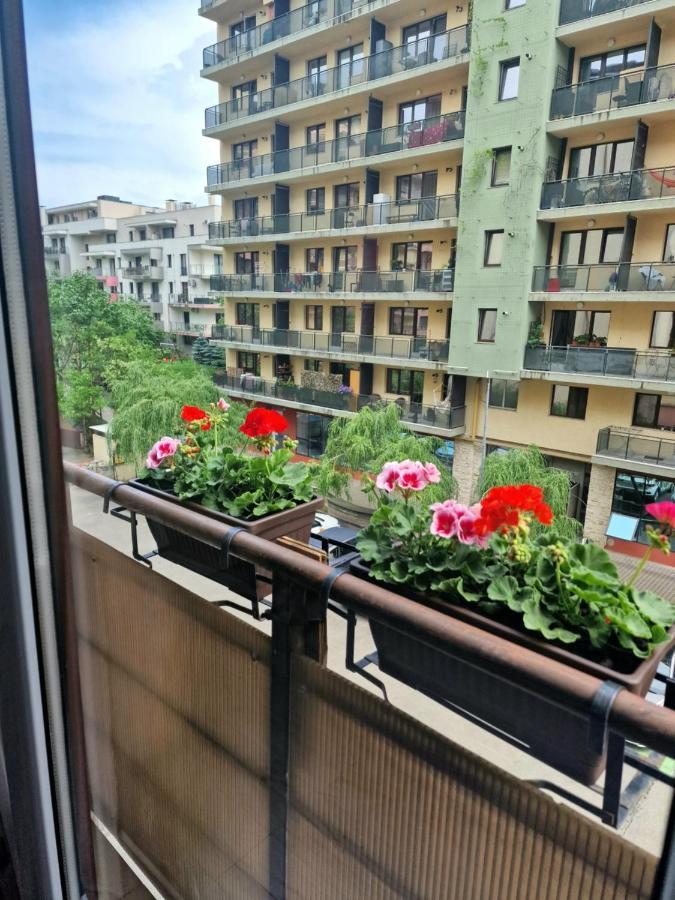 Cazare Andreea Cluj-Napoca Exterior foto